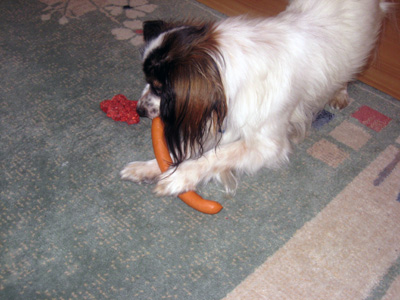 So ‘ne grosse Wurst!